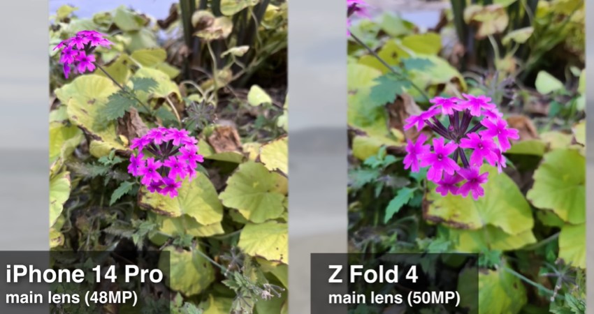 iPhone 14 Pro vs Z Fold 4 Main Camera Lens