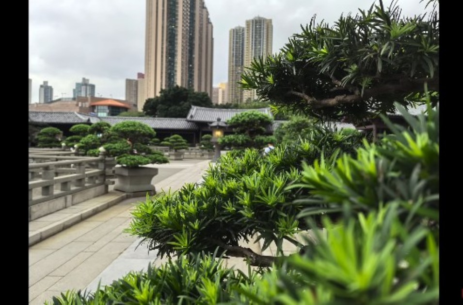 Huawei Pura 70 Ultra Camera Photo 3