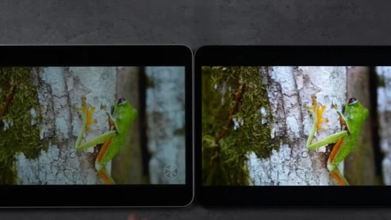 M2 vs M4 iPad Pro Display LCD vs OLED