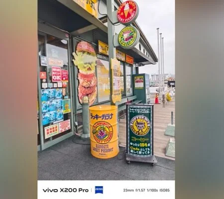 Vivo X200 Pro image 2